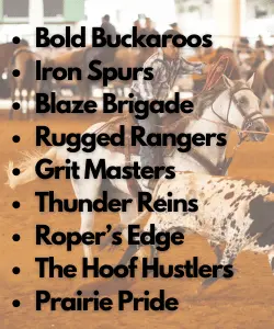 Best Rodeo Team Names