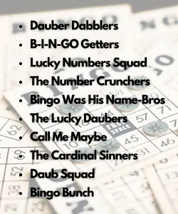 Funny Bingo Team Names