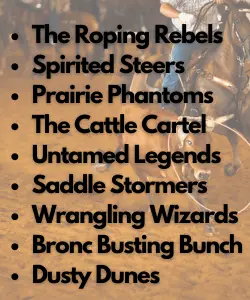 Unique Rodeo Team Names